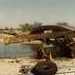 1981 - Xangongo bridge a few weeks after Op Protea r with 32 Batalion(SappeChristiann Willem Meiring)r